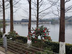 -重庆园博园