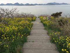 -海驴岛(荣成市)
