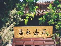 -洛阳白马寺
