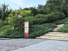 -大望京公园