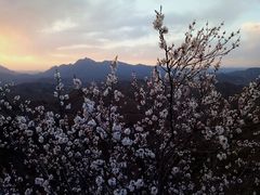 -蟠龙山长城景区