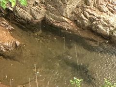 -东天目山风景区