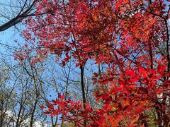 -丹东天桥沟景区