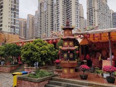 -晋江五店市传统文化旅游区