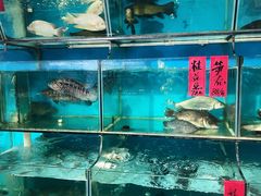 水产区-海大大蒸汽海鲜餐厅·粤菜·特色小炒(欢乐颂店)