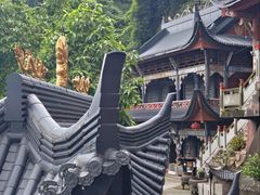 -龙泉洞(沙坪坝区)