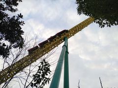 游乐设施-上海欢乐谷