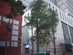 -天幕新彩云国际影城(激光巨幕店)