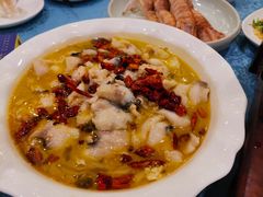 -御唐府海珊瑚主题餐厅