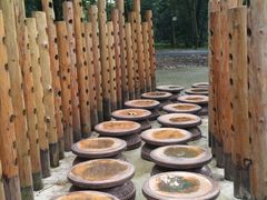 -南宁良凤江国家森林公园