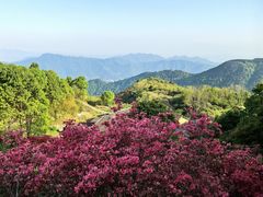 -瑞安圣井山景区