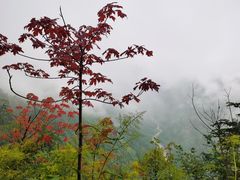 -太阳湾风景区