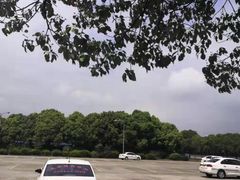 -安飞驰驾校·学车连锁(金高店)