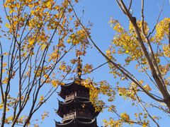-龙华寺