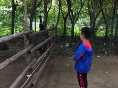 -大鹅岛绿色生态美食园