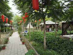 android_upload_pic-草根堂农场