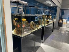 -1013 PET SHOP精品宠物商店(丁香店)