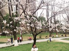 -堤角公园