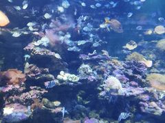 -北海·海洋之窗