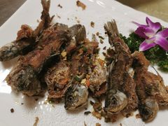 椒盐禾花鱼-荔城生鲜盛宴(番禺旗舰店)