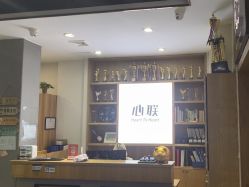 -心联形象设计·流星染