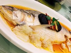 -圆苑(上海广场店)