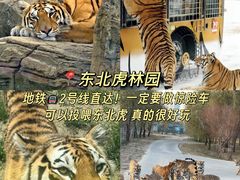 -哈尔滨热雪奇迹