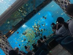 -瑞德姆美人鱼海底演艺主题餐厅(亚龙湾店)