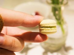 -蝶舍·MAISON PAPILLON