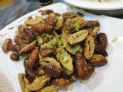 -大家乐东北菜(富河园店)