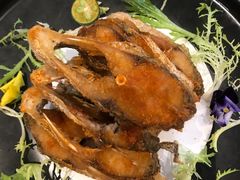 -阿庄新豫菜(航海东路店)