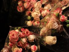 -循礼门鲜花花市(武汉循礼门店)