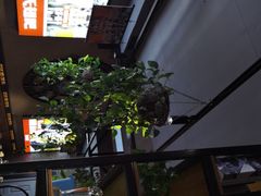 -管氏翅吧(护国寺店)