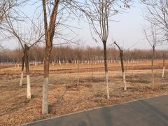 -东郊湿地公园