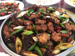 -高伟炒鸡总店(金源路店)