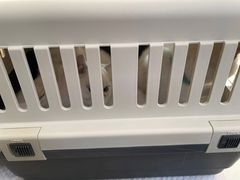-美联众合动物医院·24h京西诊疗中心