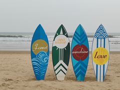 -日照海滨国家森林公园