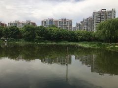 -新江湾城公园