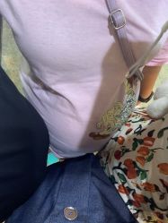 -复旦大学附属妇产科医院(杨浦院区)