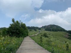 -白草畔自然风景区