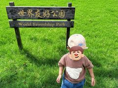 -桐乡凤凰湖