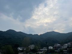 -龙井村