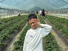 -铁山坪森林公园