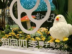 -润园四季椰子鸡火锅(南山海岸城店)