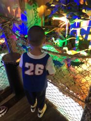 -恐龙探索乐园(磁器口店)