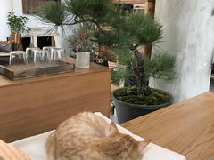 -知亘茶食