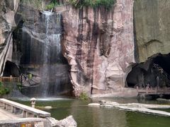 -蛇蟠岛