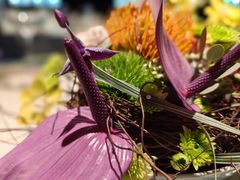 -花到家(富贵鸟花艺行)