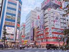 -秋叶原电器街