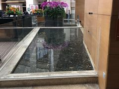 -上海外滩茂悦大酒店